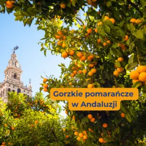 Wszechobecny zapach pomarańczy